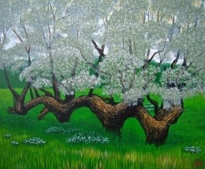 UnVieuxSauleàTilly-300x247