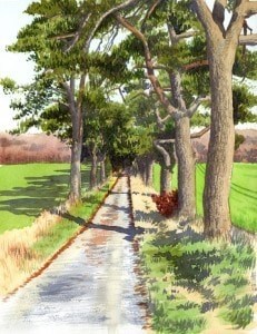 AlléeDammarieBlog1-231x300