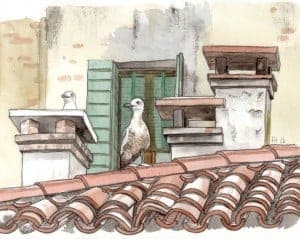 Goélands-300x239