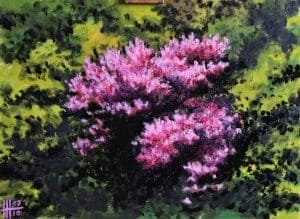 Nuage-Rose-1-300x219
