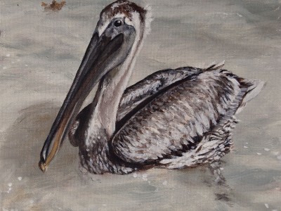 Le Pelican