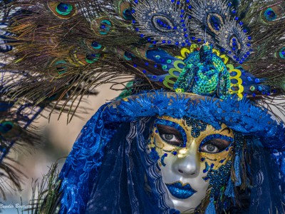 LES COSTUMÉS DU CARNAVAL DE VENISE 2019, finu2026 - Venisejetaime